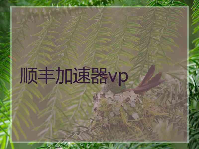 顺丰加速器vp