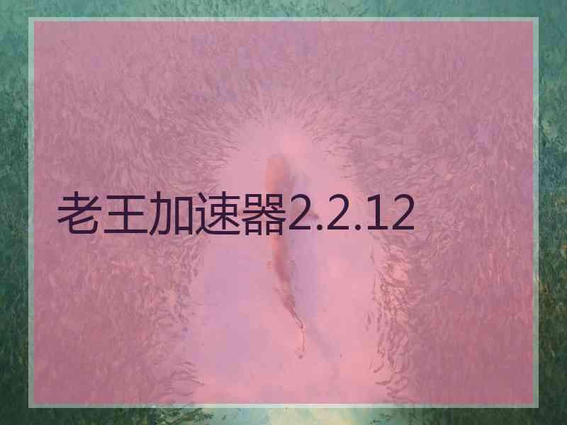 老王加速器2.2.12