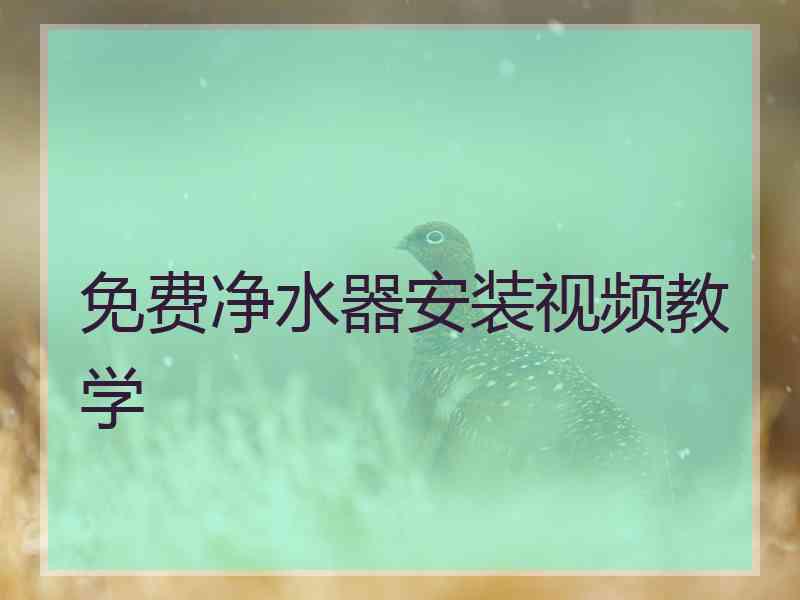 免费净水器安装视频教学