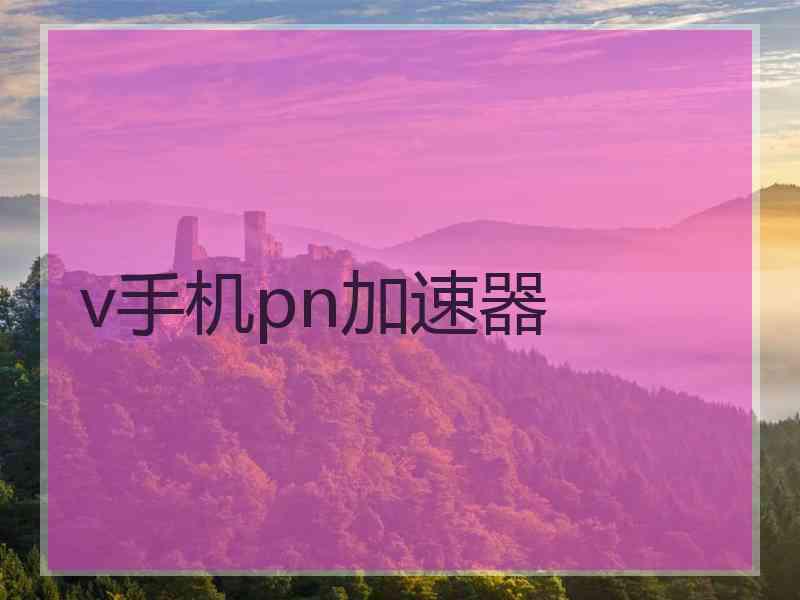 v手机pn加速器