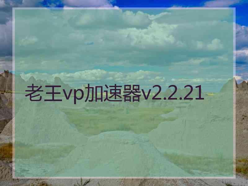 老王vp加速器v2.2.21